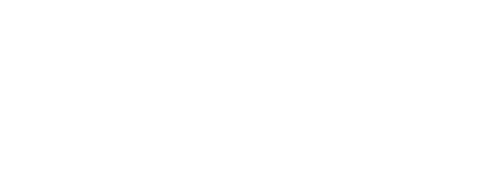 Dynabyte logo